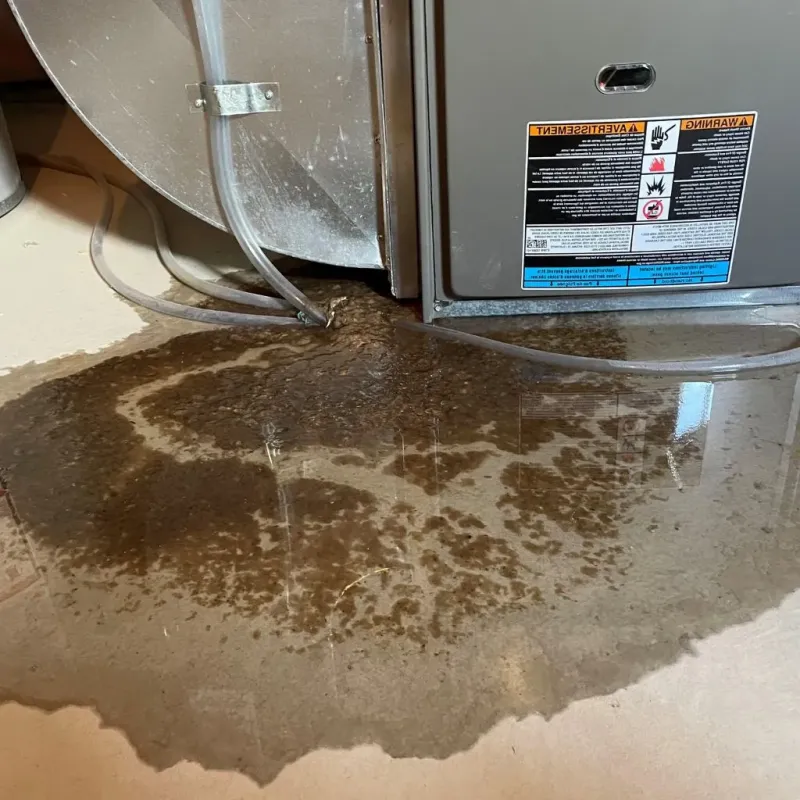 Pipe Burst and Leak Restoration in Fort Payne, AL