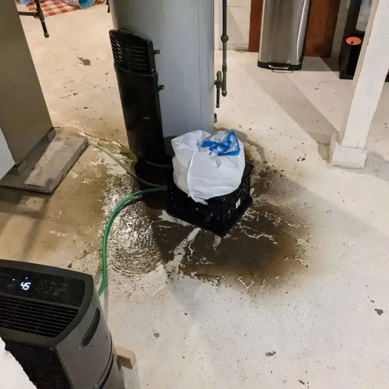 Sewage Backup Cleanup Service in Fort Payne, AL
